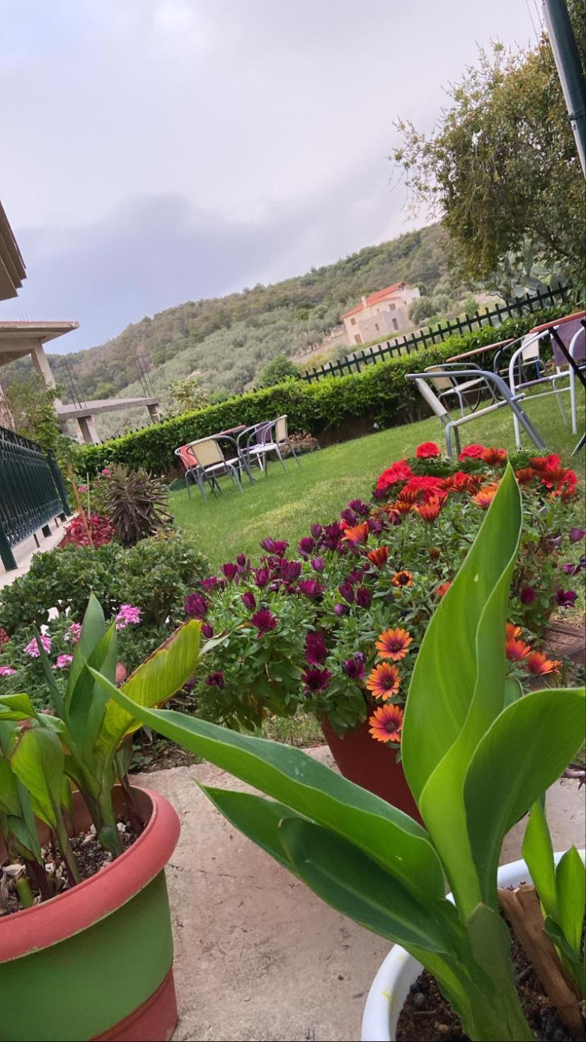 Hotel Marialena Epidaurus Εξωτερικό φωτογραφία